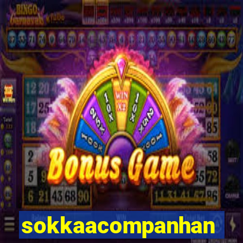 sokkaacompanhantes