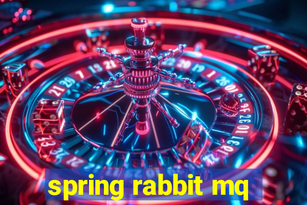 spring rabbit mq