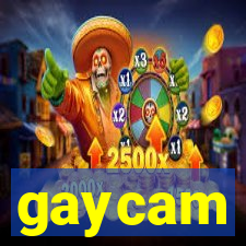 gaycam