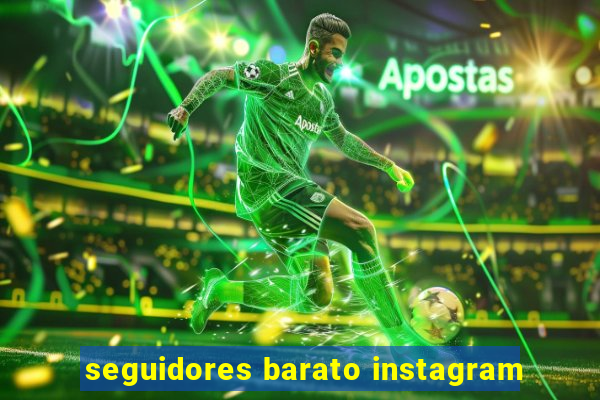 seguidores barato instagram