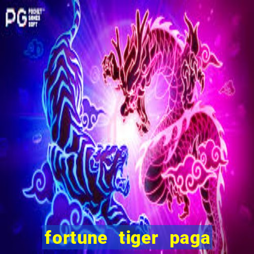 fortune tiger paga de madrugada