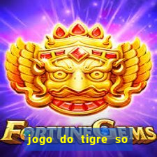 jogo do tigre so para brincar