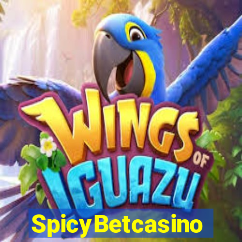 SpicyBetcasino