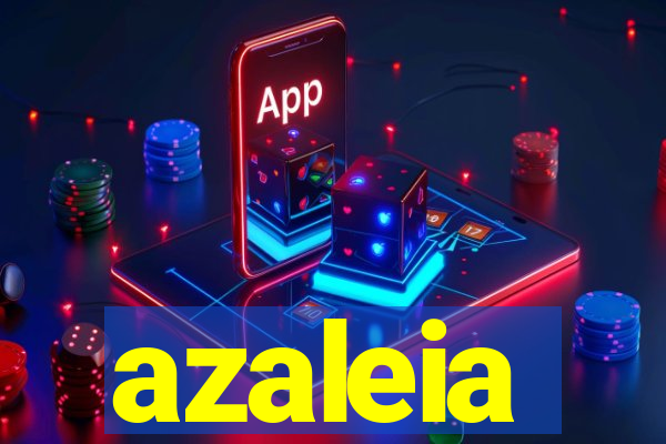 azaleia-br.com