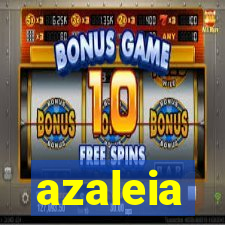 azaleia-br.com